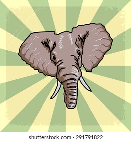 vintage, grunge background with elephant
