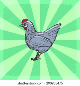 vintage, grunge background with hen