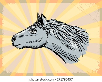 vintage, grunge background with horse