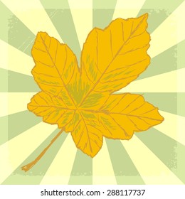 vintage, grunge background with yellow leaf