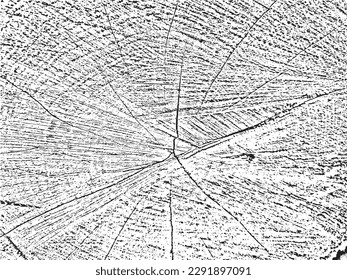 Vintage grunge wood cut texture with natural cracks and circles. Organic monochrome background of an old sawn tree. Unique pattern for vintage and rustic designs