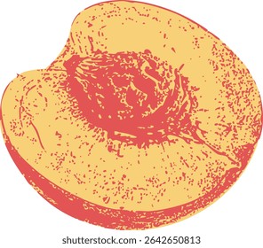 Vintage half peach fruit illustration with visible seed, engraved vector on white. Suitable for jam labels, cooking blogs, or vegan product design.