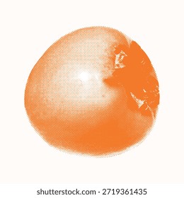 Elemento de collage de frutas de semitono de Antiguas para proyectos de diseño, menú de alimentos, póster. Grunge naranja en fotocopia texturizada. Pegatina para álbumes de recortes, revistas. Ilustración vectorial aislada Bitmap retro de moda.