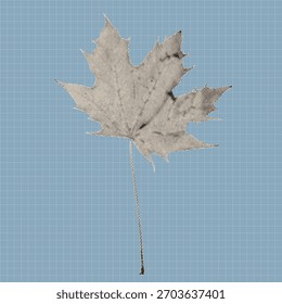 Vintage halftone maple leaf illustration created with black dots on a textured background. Retro botanical vector design element suitable for posters, prints, stickers, and modern graphic artwork.
