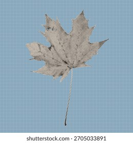 Vintage halftone maple leaf illustration created with black dots on a textured background. Retro botanical vector design element suitable for posters, prints, stickers, and modern graphic artwork.