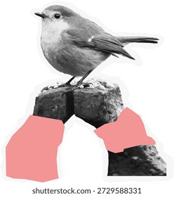 Pájaro Pequeño del semitono de Antiguas en el elemento del collage del tocón con el acento de la cinta