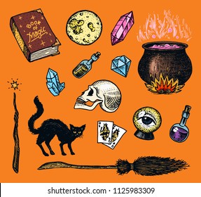 Vintage Halloween elements stickers. Magic ball, witch with book of spells, cursed black cat, hag or hex, potion and cauldron, skull and fortune-telling cards. Hand drawn engraved sketch.