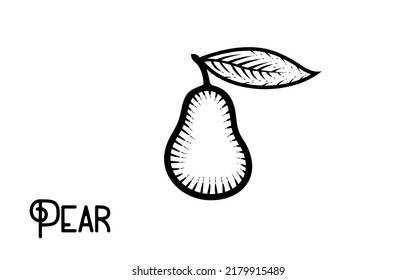 Vintage hand draw pear fruit