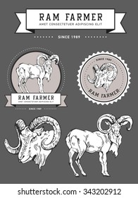 Vintage hand draw ram label. Graphic element, badge, emblem, logo, insignia, sign, identity, logotype, poster. Stroke hipster illustration with typographic for t-shirt prints. Ram farmer, hunting