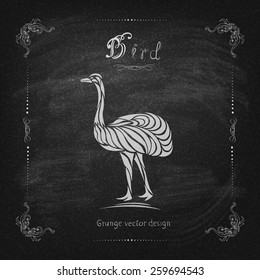 Vintage hand drawing bird vector eps 10