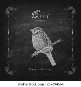 Vintage hand drawing bird vector eps 10