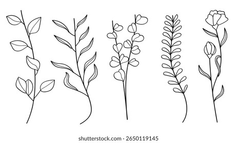 Vintage hand drawing botanical flowers and stems line art elements collection. Vector illustration.