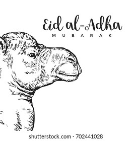 Vintage Hand Drawing Eid Al-Adha Greeting Card Sketch Card Illustration