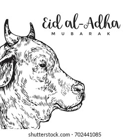 Vintage Hand Drawing Eid Al-Adha Greeting Card Sketch Card Illustration