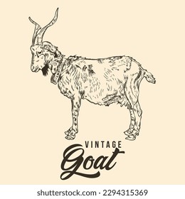 Vintage Hand Drawing Goat Sketch Vector Illustration
