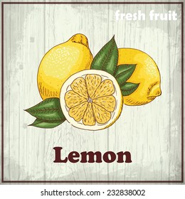 Vintage hand drawing illustration of a lemon. Vector illustration for your design