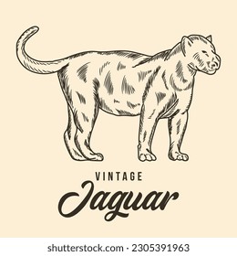 Vintage Hand Drawing Lizard Sketch Vector Stock Illustration