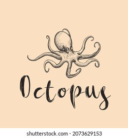 Vintage hand Drawing Octopus. Crass hatching Octopus Isolated Vector Illustration Image