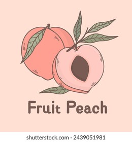 Vintage hand drawing peach. Pink peach vector drawing. Summer food engraved style illustration. Detailed vegetarian sketch. Great for print.