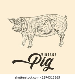 Vintage Hand Drawing Pig Sketch Vector Illustration