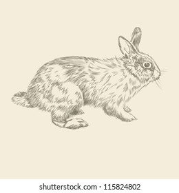 Vintage hand drawing rabbit vector eps 8