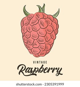 Esbozo de frutas de frambuesa de dibujos de mano de vintage Vector de material de iluminación Color de la ilustración