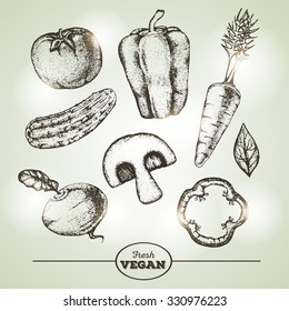 Vintage Hand drawing sketch set of vegetables.