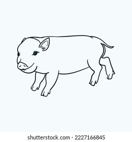 Vintage hand drawn baby piglet