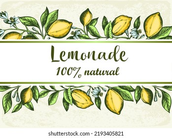 Vintage hand drawn background with citrus lemon branch. Vector illustration.