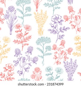 Vintage Hand Drawn Beauty Herbs Seamless Pattern