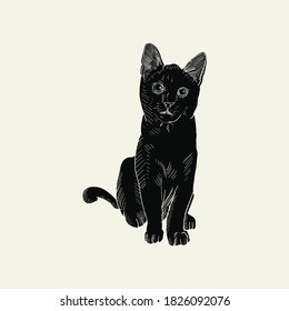 Vintage hand drawn black cat