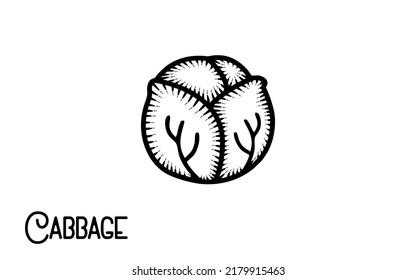 Vintage Hand Drawn Cabbage Vector