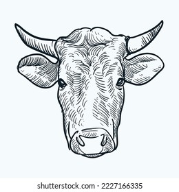 Vintage hand drawn cattle horn head