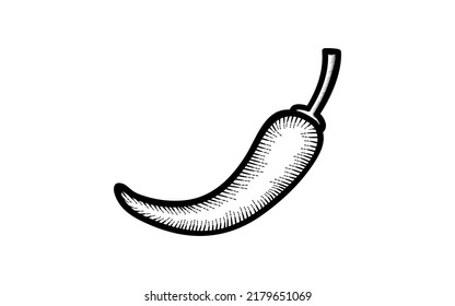 Vintage hand drawn chili vector