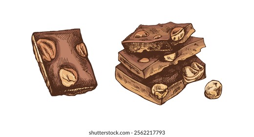Vintage hand drawn chocolate pieces with nuts detailed colored illustration