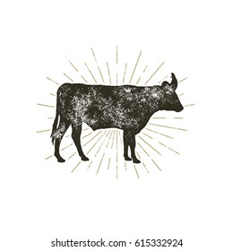 Vintage hand drawn cow icon. Farm animal silhouette shape. Retro black style cow with sunbursts, isolated on white background. Vector Illustration.