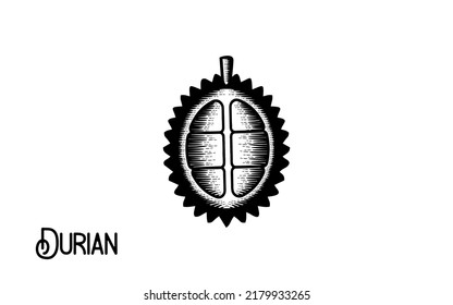 Vintage hand drawn durian fruit
