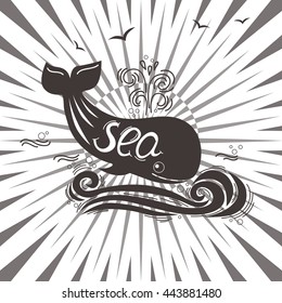 Vintage hand drawn elements in nautical style. Vector illustrations.