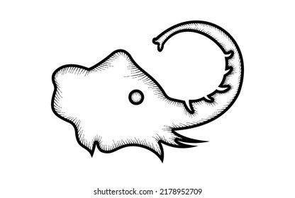Vintage hand drawn elephant vector