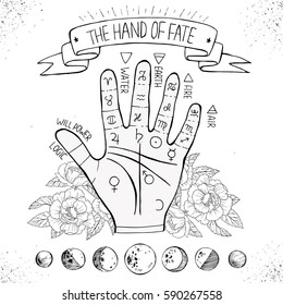 Vintage hand drawn engraved illustration with mystic symbols. Concept image with  hand of fate with flowers.