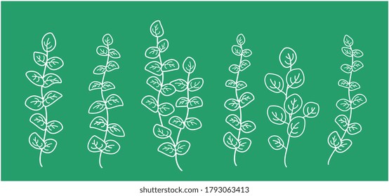 vintage hand drawn eucalyptus branches with leaves, herbs, mint, spices silhouettes, aromatic grass green collection