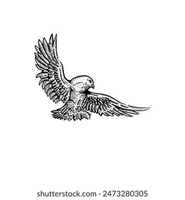 Vintage hand drawn flying brave bird vector illustration