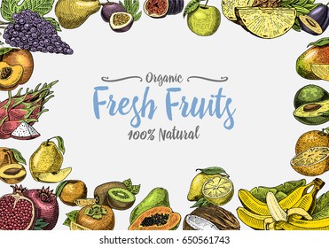 Vintage, hand drawn fresh fruits background, summer plants, vegetarian and organic citrus and other, engraved. pineapple, lemon, papaya, pitaya, maracuya and bananas