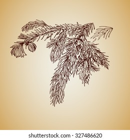 vintage hand drawn fur-tree branch