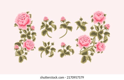 Vintage Hand Drawn Garden Pink Rose Flower Vector Illustration Elements, Clipart Collection for Wedding Invitation, Greeting Card Decoration Set, Aesthetic Nature Crafts, Art and Creative Projects