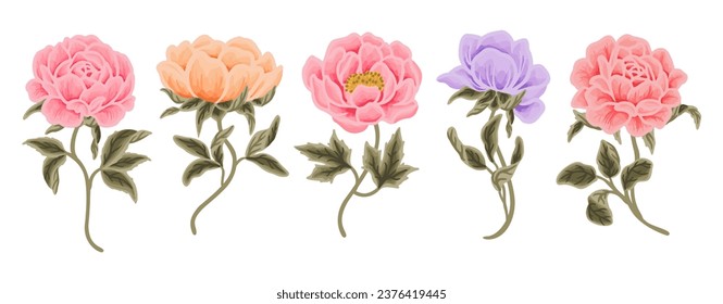 Vintage hand drawn garden rose, peony flower vector clip art illustration elements for wedding invitation, card decoration, feminine or beauty brand, floral craft, art, creative projects