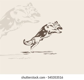 Vintage hand drawn german shepherd. Vector illustration.