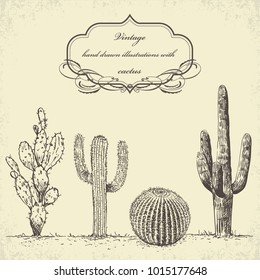 Vintage hand drawn illustrations with cactus in engraving style.