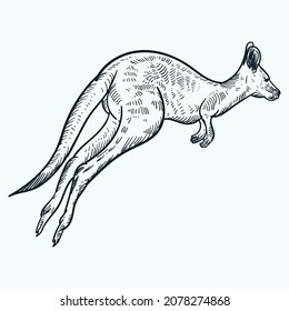 Vintage hand drawn jumping kangaroo
