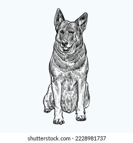 Vintage hand drawn k9 German shepherd dog